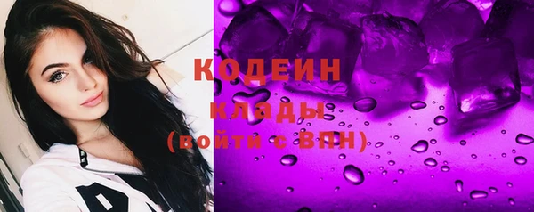 сатива Покачи
