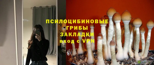 сатива Покачи