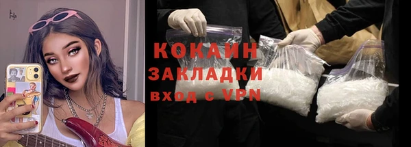 сатива Покачи