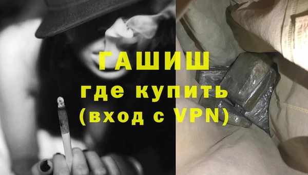 сатива Покачи