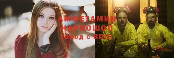 сатива Покачи