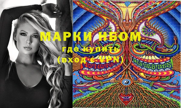 сатива Покачи