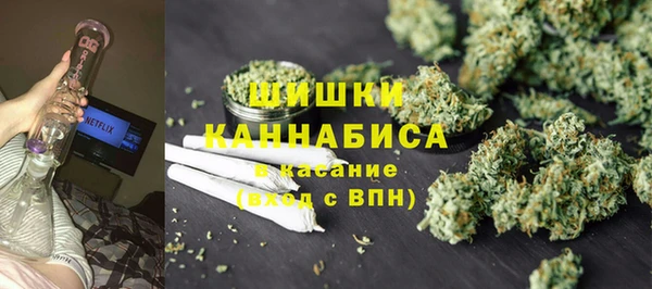 сатива Покачи