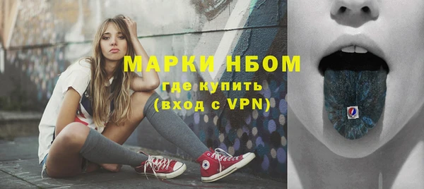 сатива Покачи