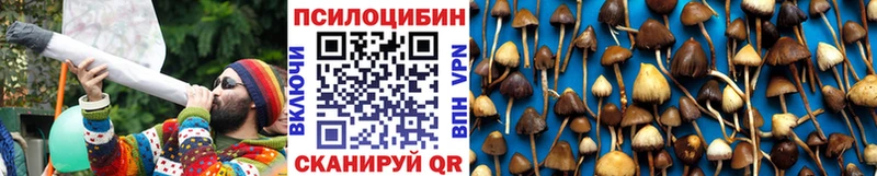 Псилоцибиновые грибы Cubensis дарнет шоп Пойковский